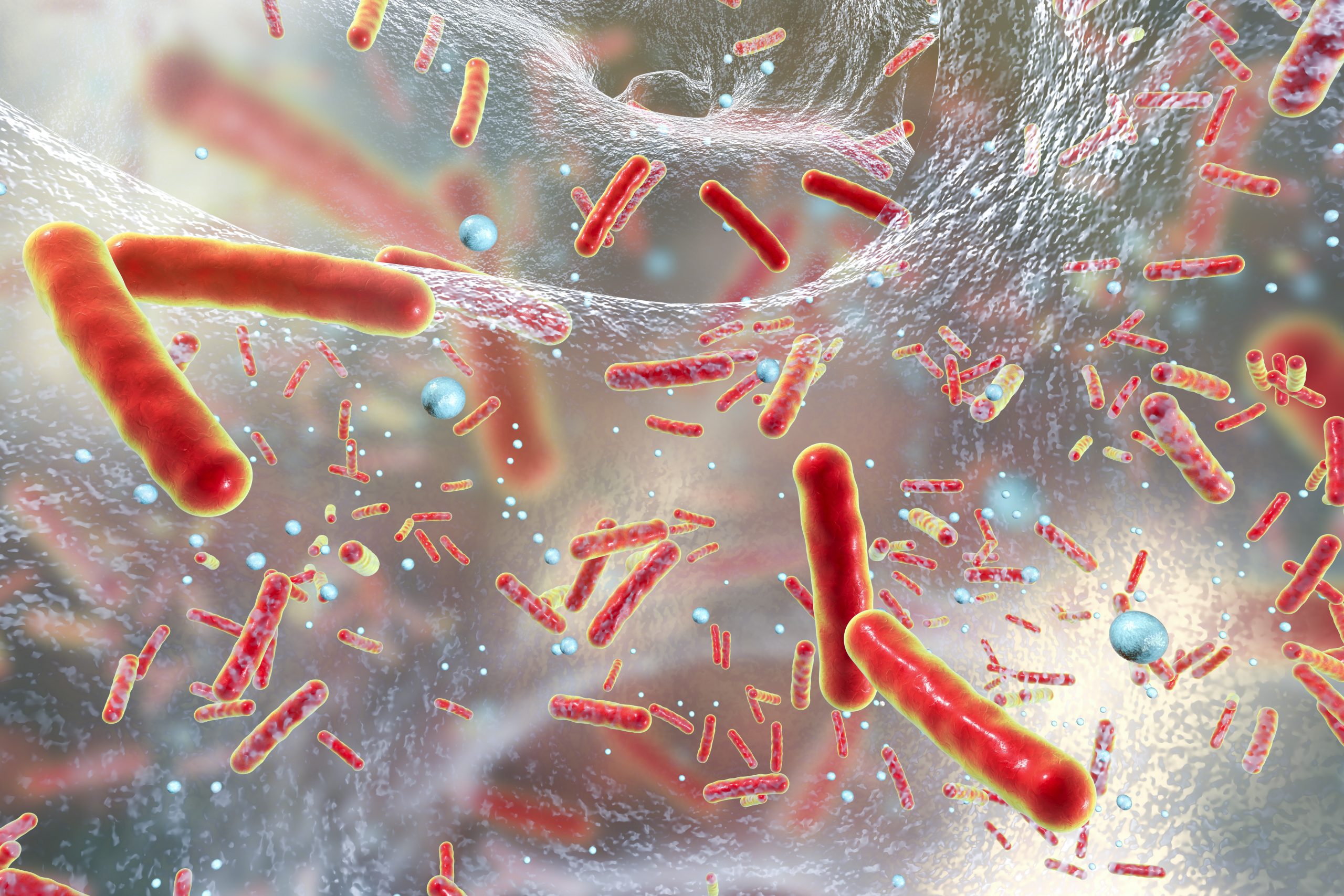 Multidrug resistant bacteria inside a biofilm